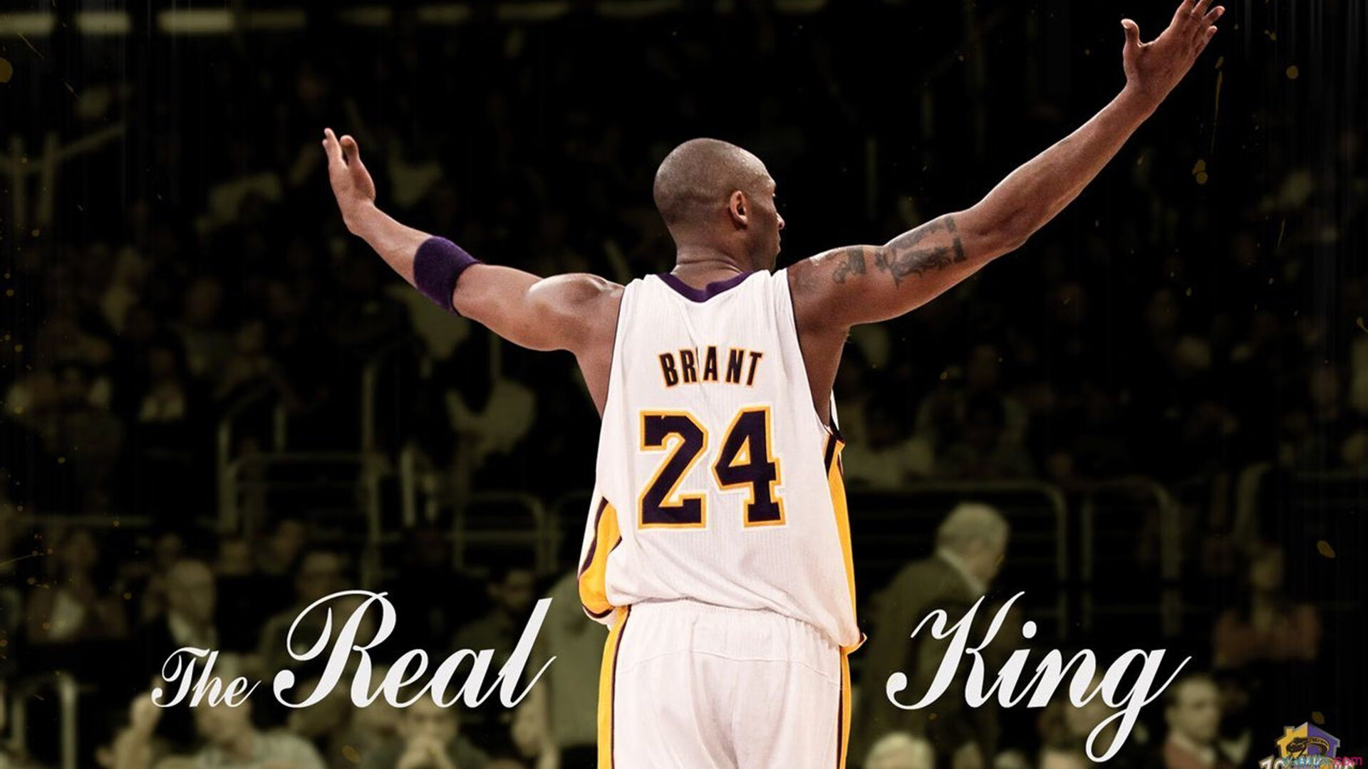 ky体育竞猜-“战术布置”——教你看懂车队的战略布局，车队组织架构